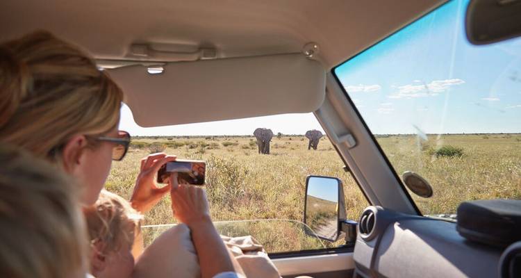 Familia en un vehículo observando elefantes a lo lejos.