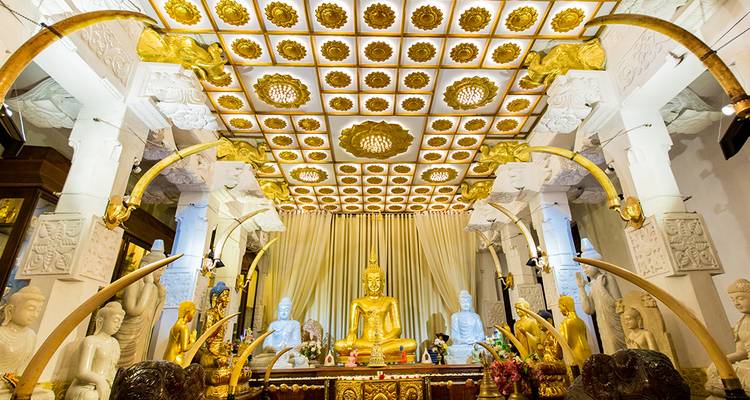 Vacances en famille au Sri Lanka - Intrepid Travel 3