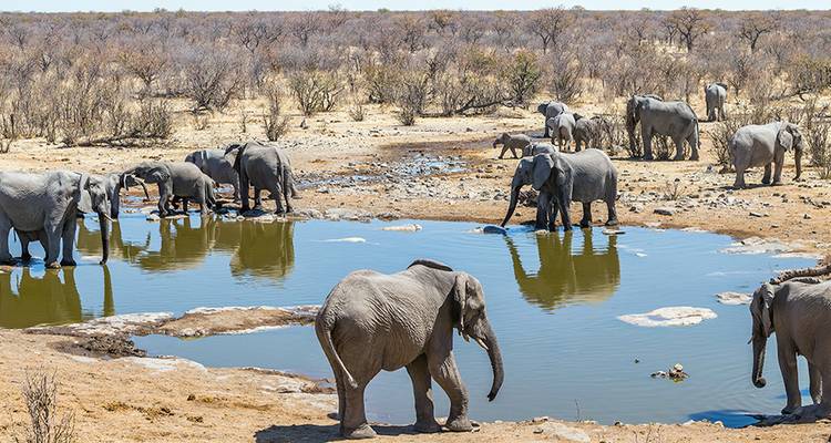 Safari familiar en Sudáfrica con adolescentes - Intrepid Travel 2