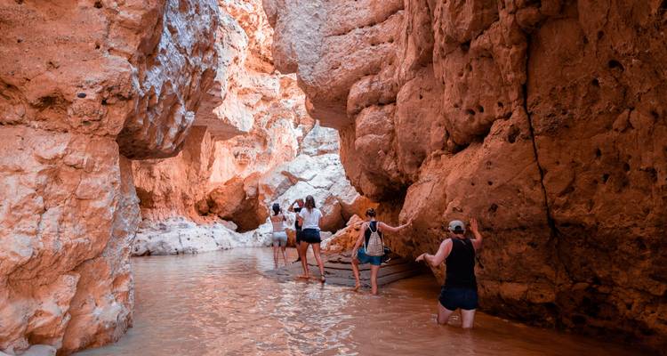 11 jours du Cap à la Namibie - en camping - Acacia Adventure Holidays 2