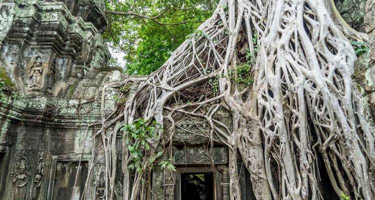 Massive tree roots envelop the crumbling stone portal of a Khmer temple ruin.