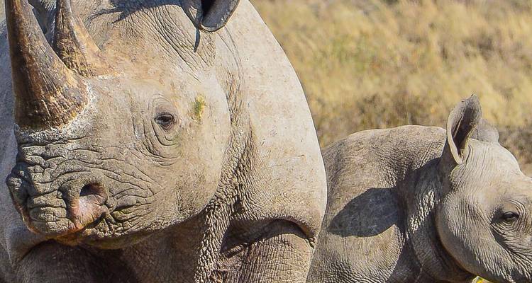 Safari familiar en Botsuana con adolescentes - Intrepid Travel 6