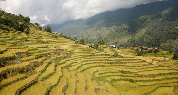 Excursionismo por el Valle de Katmandú - Intrepid Travel 5