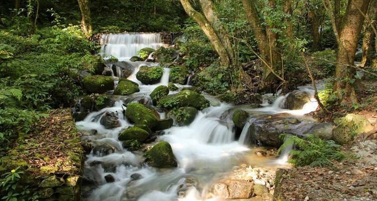 Excursionismo por el Valle de Katmandú - Intrepid Travel 1