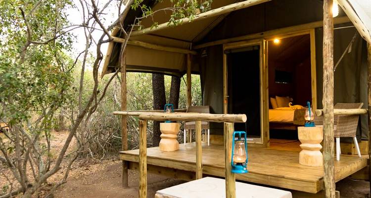 Kruger Experience - Lodge (5 days) - Intrepid Travel 6