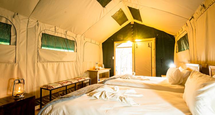 Kruger Experience - Lodge (5 days) - Intrepid Travel 8