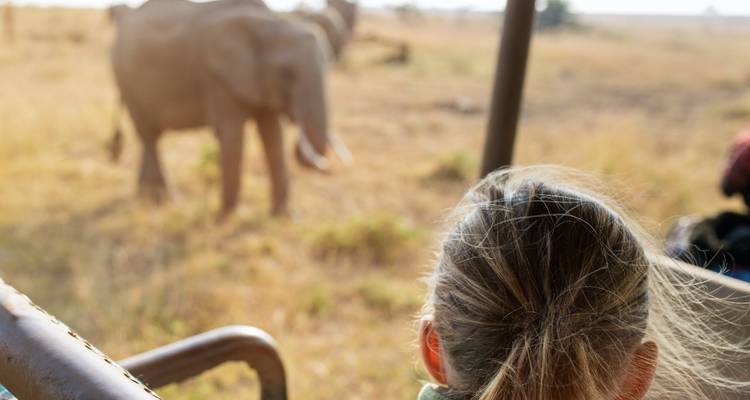 Safarireiziger die een vaag olifant observeert vanuit een open voertuig in gouden ochtendlicht