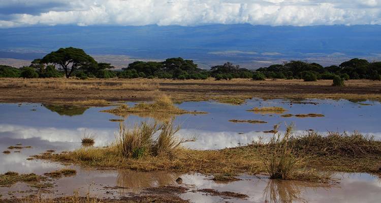 Une semaine au Kenya - Absolute Africa 10