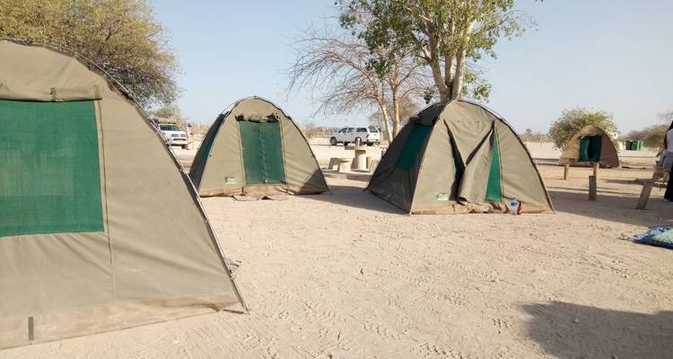 Safari camping à Etosha - 3 jours - Chameleon Safaris Namibia 2