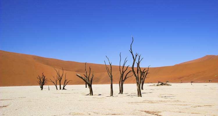 Safari exprés de 3 días en Sossusvlei con alojamiento - Chameleon Safaris Namibia 8