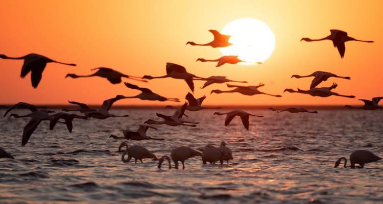 4 Day Swakopmund & Sossusvlei Accommodated Adventure - Chameleon Safaris Namibia 3
