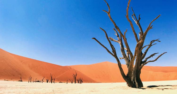 4 Day Swakopmund & Sossusvlei Accommodated Adventure - Chameleon Safaris Namibia 6