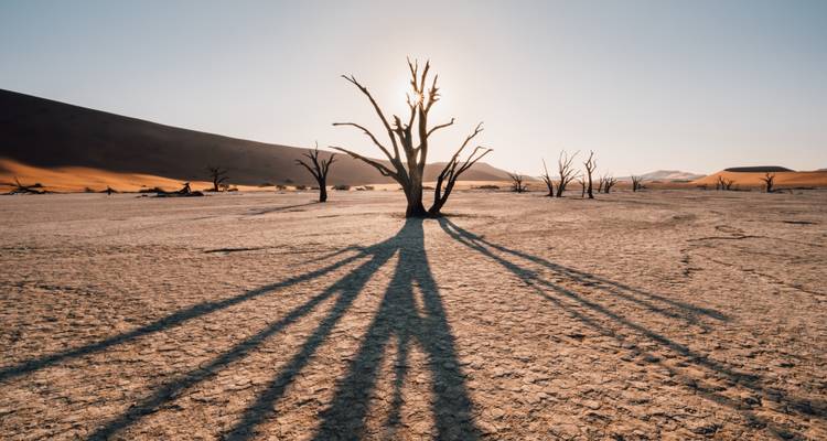 Safari de 7 jours avec hébergement en Namibie - Chameleon Safaris Namibia 8
