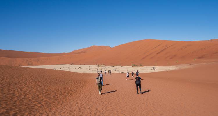 Safari de 7 jours avec hébergement en Namibie - Taste of Namibia - Chameleon Safaris Namibia 8