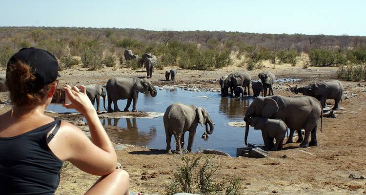 Aventure de 4 jours avec hébergement à Etosha et Swakopmund - Chameleon Safaris Namibia 2