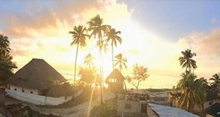 Tanzania e isla de Zanzíbar: safari Africano, Construcción de Escuelas y Educación, Nadar con delfines - GIVE Volunteers 7
