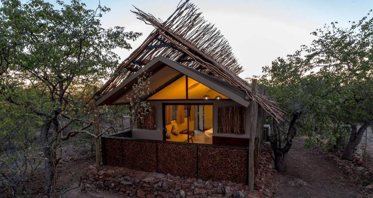 3 Day Etosha Express Accommodated Safari - Chameleon Safaris Namibia 7