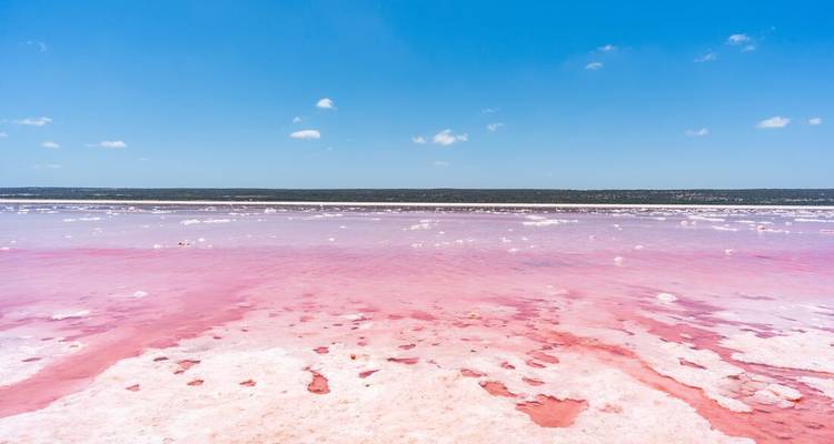 Un lago surrealista de sal rosada se extiende hasta el horizonte bajo un cielo azul brillante.