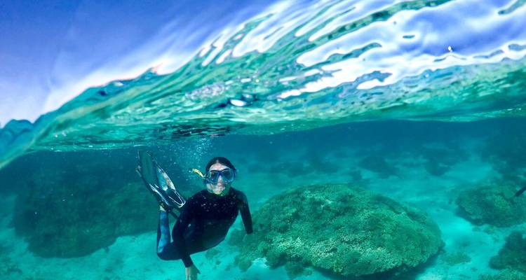 Un buceador se sumerge sobre jardines de coral en agua turquesa clara bajo una superficie ondulante.