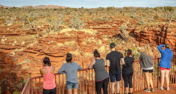 Los viajeros miran desde un mirador vallado sobre un vasto cañón rojo salpicado de eucaliptos.