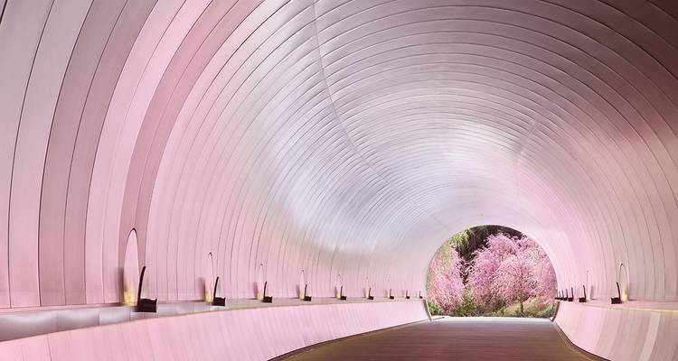 Japon Kansai - 6 jours - Supera Tours 2