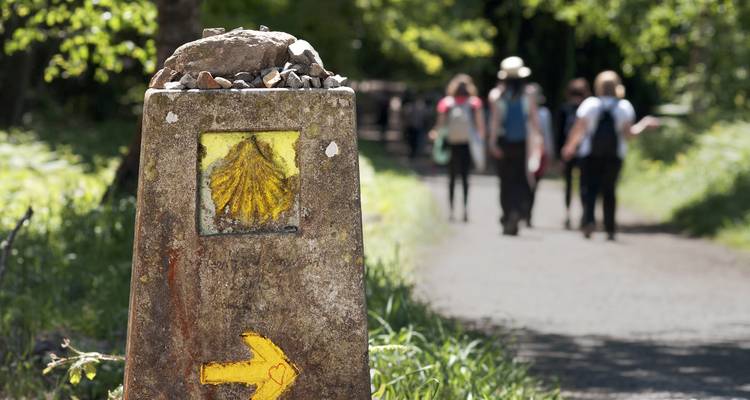 5 jours - Le meilleur de l'Afrique du Sud : Route des jardins et parc national d'Addo - G Adventures 10
