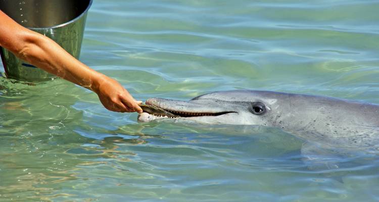 Broome to Perth Adventure - Adventure Tours Australia 7