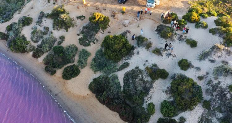 Aerial view of travellers exploring sand dunes beside a vivid pink shoreline.