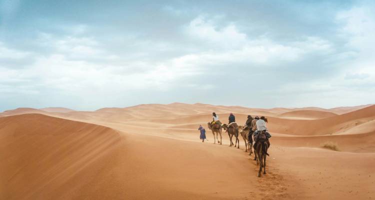 Caravane de chameaux serpentant à travers les sables orange doux sous un ciel nuageux dans le Sahara.