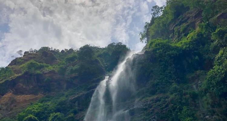 Wli Falls & Tafi Atome Monkey Sanctuary Tour - Landtours Ghana Ltd. 3