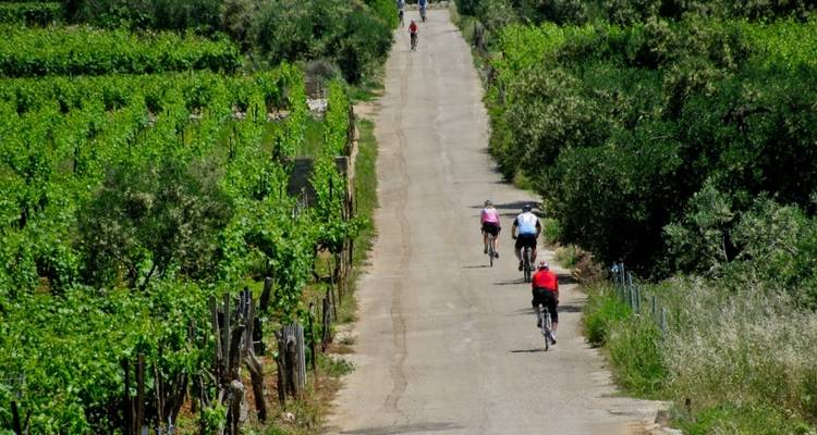 Circuit cycliste autoguidé de Split à Dubrovnik - Meridien Ten 7