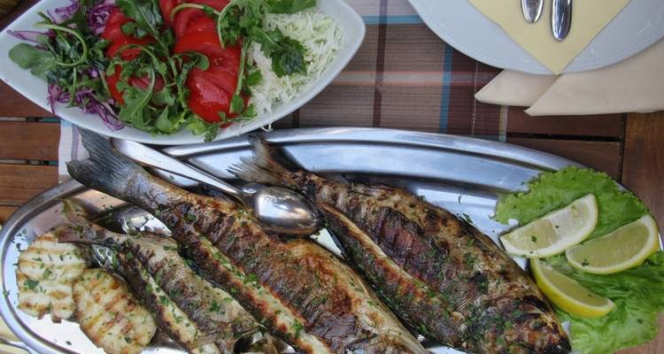 Un plateau de poisson grillé et une salade disposés esthétiquement sur une table.
