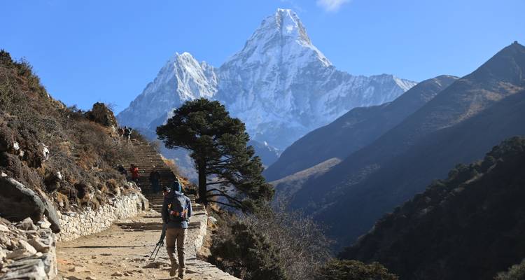Trekkist met wandelstokken loopt over een stenen pad naar de met sneeuw bedekte top van Ama Dablam onder een schitterend blauwe Himalaya-lucht.