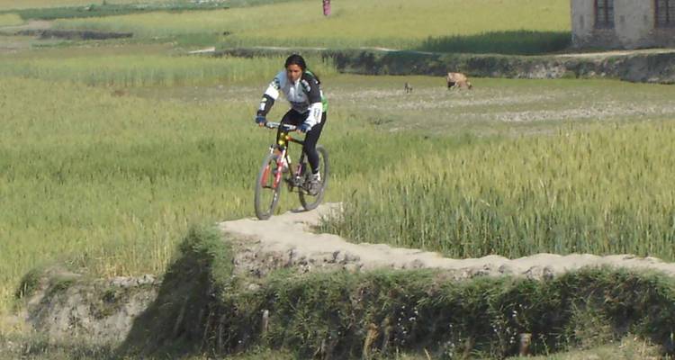 Fietser rijdt over een smal zandpad in een groen veld.