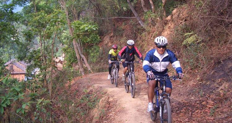 Groep fietsers op een bospad.