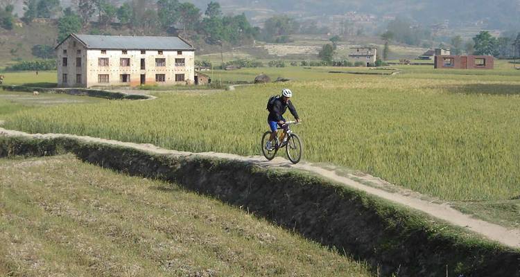 Fietser op een pad tussen de velden met in de verte een gebouw.
