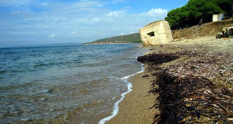 Selcuk - Pérgamo, Galípoli y Troya - Estambul excursión de 3 días - Alaturka Turkey – Tours & Blue Cruises 10