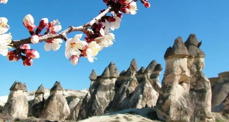 Circuit de 3 jours de Fethiye à la Cappadoce - Alaturka Turkey – Tours & Blue Cruises 1