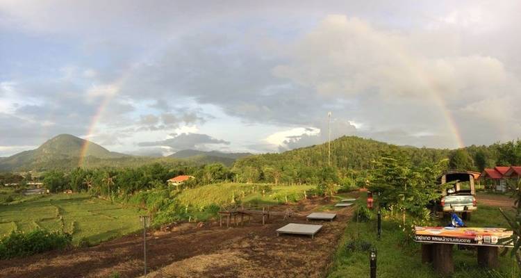 Tribus des collines du nord de la Thaïlande : Conservation de l'environnement, éducation et Treks à dos d'éléphant - GIVE Volunteers 9