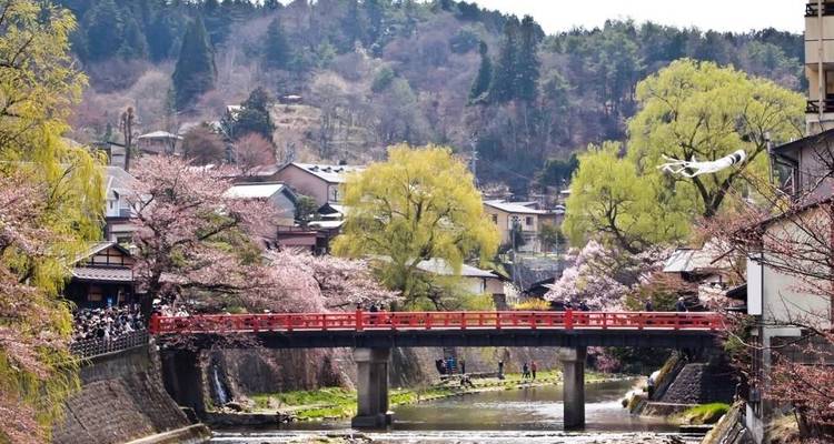 Cherry Blossom Festival - 13 days - On The Go Tours 9