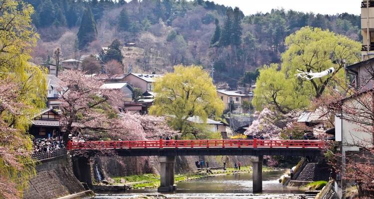 Cherry Blossom Festival - 13 days - On The Go Tours 2