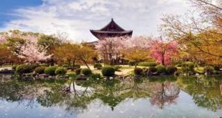 Cherry Blossom Festival - 13 days - On The Go Tours 10