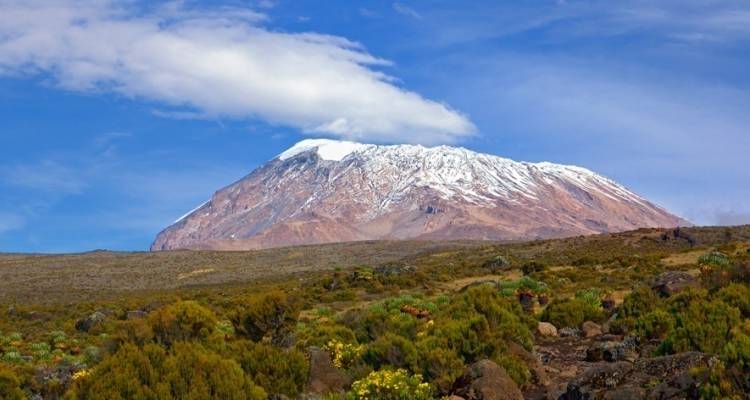 Ascensión al Kilimanjaro - 8 días - On The Go Tours 6