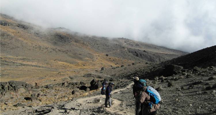 Ascensión al Kilimanjaro - 8 días - On The Go Tours 3