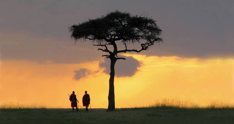 Semana de la fauna de Kenia - 7 días - On The Go Tours 5