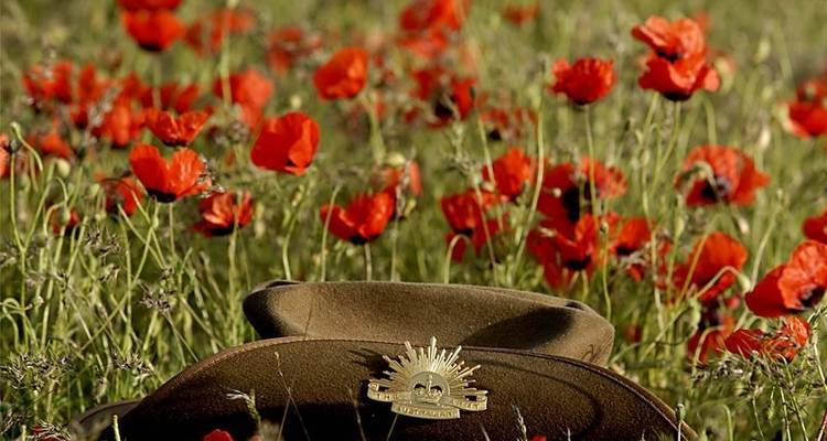 Circuit Anzac Day - 4 jours - Travel Talk 8