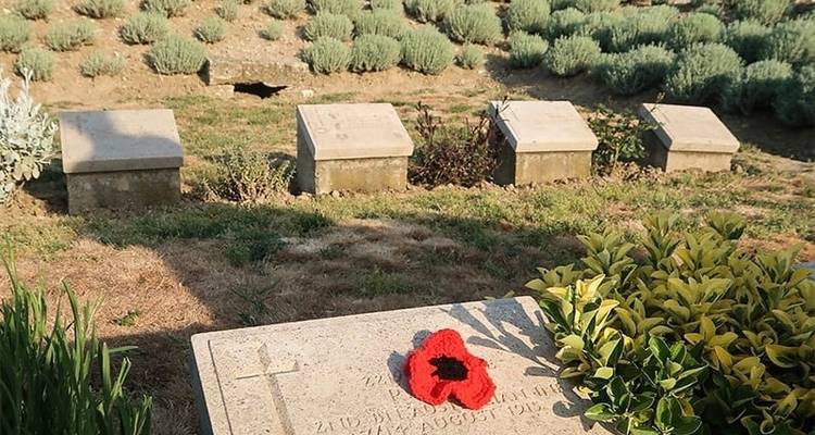 Circuit Anzac Day - 5 jours - Travel Talk 10