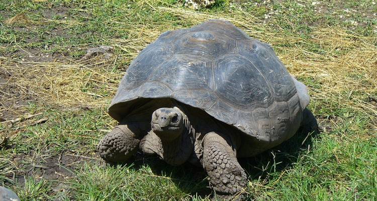 Galapagos Island Hopper - Contiki 8