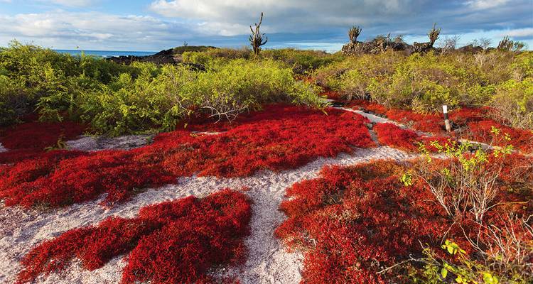 Complete Galapagos (Grand Daphne) - Intrepid Travel 4