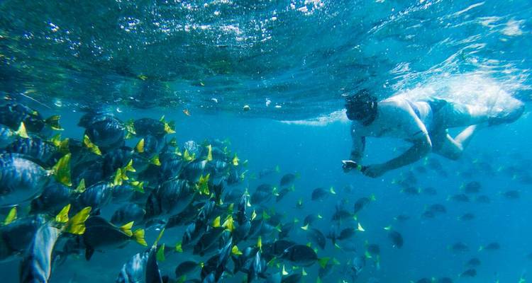 Galapagos at a Glance: Southern Islands (Grand Daphne) - Intrepid Travel 8